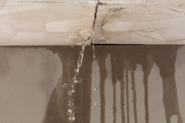 Professional Water Damage Repair technician working in Quitaque, TX